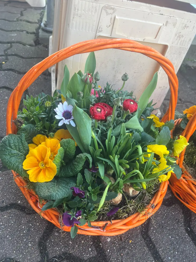Frühlingskorb „Bunt“